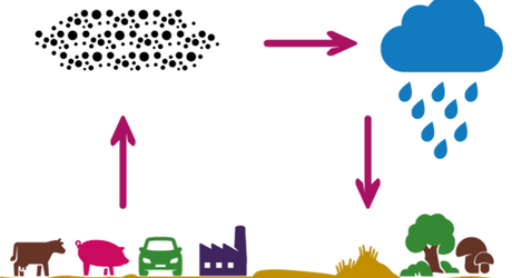 Stikstofdepositie: huidige mogelijkheden en kansen